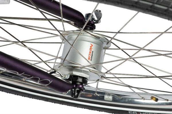 Велосипед ELECTRA Townie 7D EQ Step Thru 26" Purple — изображение 3