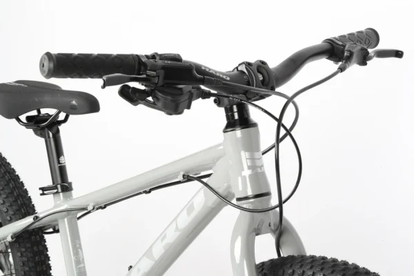 Велосипед HARO Flightline 20" Plus Disc (2025) — изображение 2
